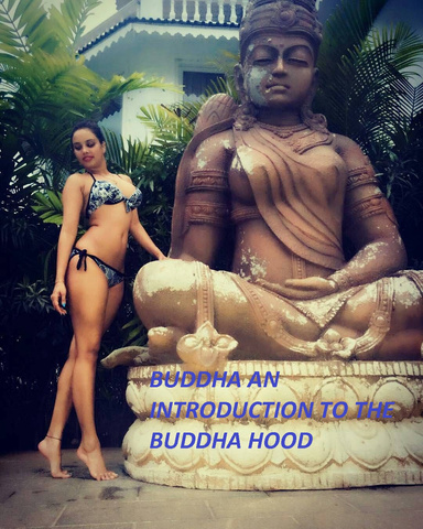 Buddhism for Beginners