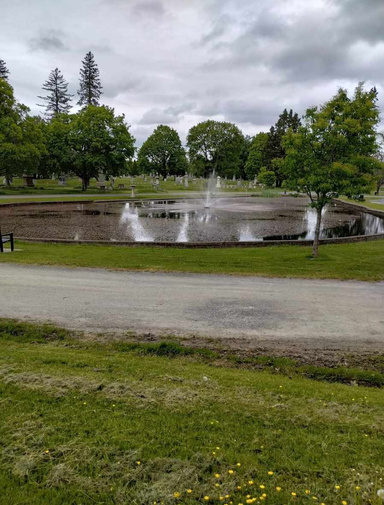 Dynamics Of A Shamanic Planet