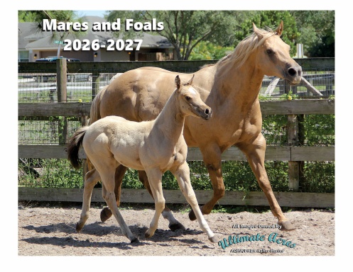 Mares and Foals in Sync 2026