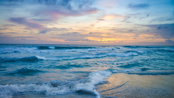 Life below the waves