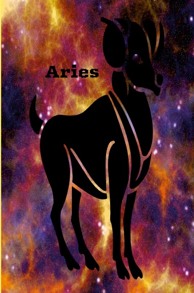 Aries Multi