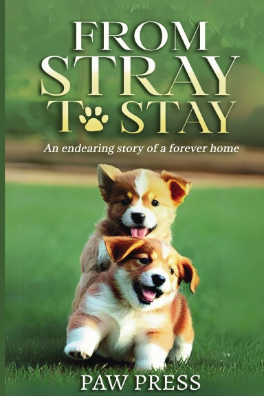 From Stray to Stay