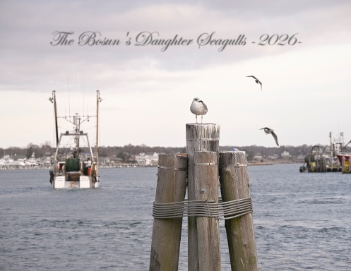 The Bosun's Daughter Seagulls 2026