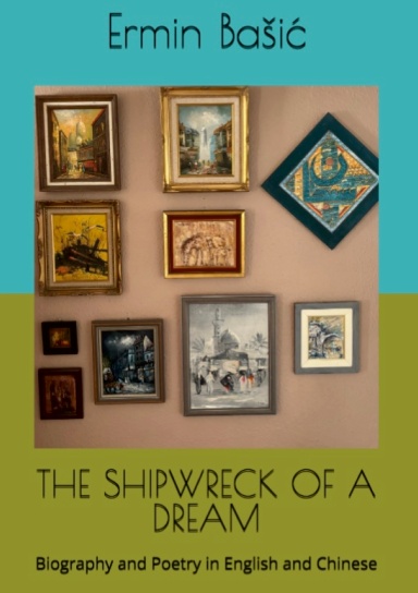 THE SHIPWRECK OF A DREAM