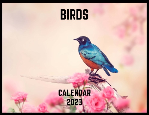 Bird Calendar Jan 2023 - Dec 2023