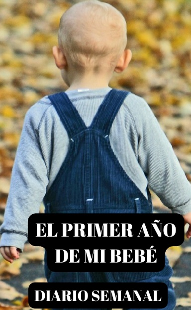 EL PRIMER AÑO DE MI BEBÉ