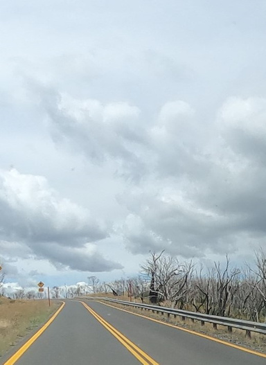 Dale. Forbearing Secrets