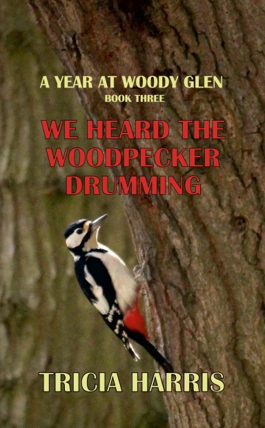 We heard a woodpecker drumming