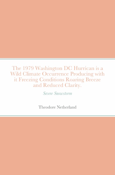 The 1979 Washington DC Hurrican is a Wild Climate Occurrence Producing with it Freezing Conditions Roaring Breeze and Reduced Clarity.