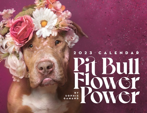 Pit Bull Flower Power 2023 Calendar