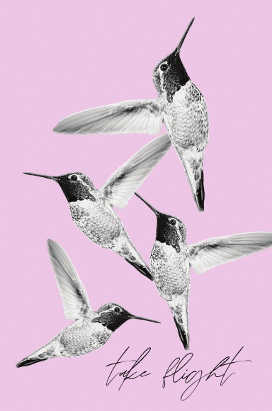 Take Flight Notebook