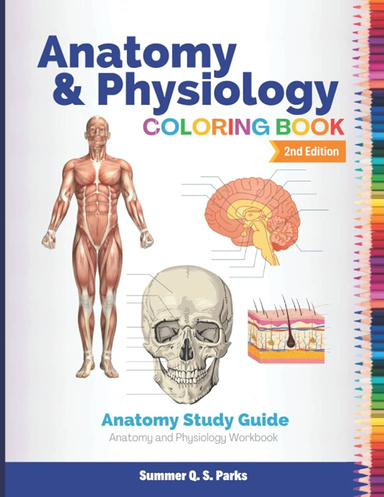 Anatomy and Physiology Coloring Pages PDF: A Fun Way to Learn