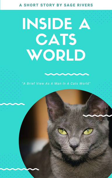 Inside a Cat's World
