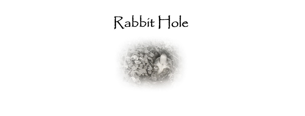 Rabbit Hole