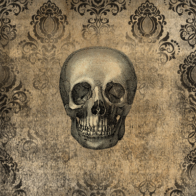 Skully E Book Journal