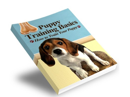 Puppy Training Basics Book
