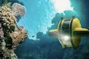 The Secrets of the Deep