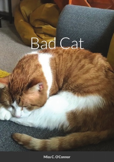 Bad Cat