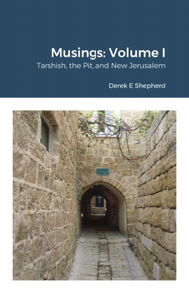 Musings: Volume I