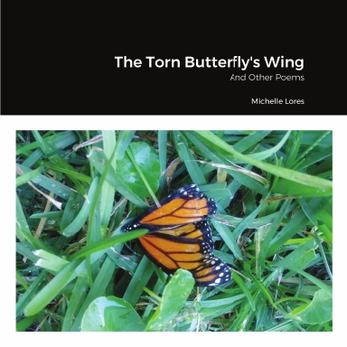 The Torn Butterfly's Wing