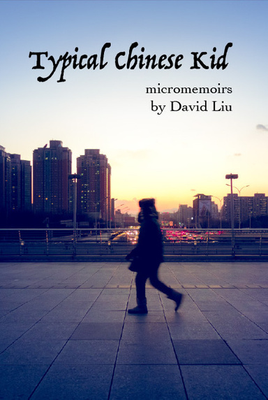 Typical Chinese Kid: Micromemoirs