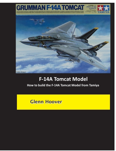 F-14A Tomcat Model