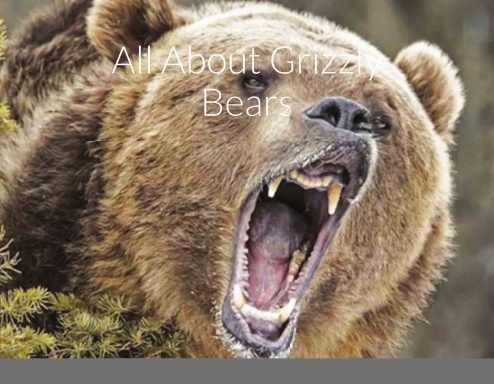 All About Grizzly Bears