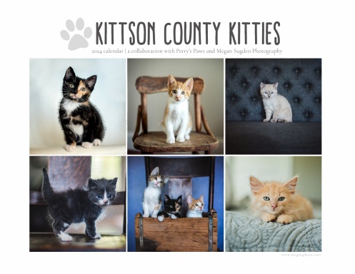 2024 Kittson County Kitties Calendar