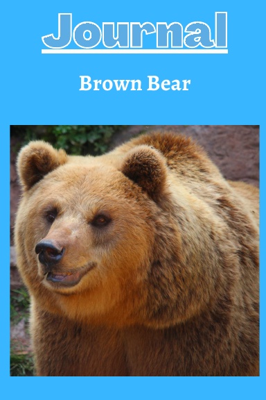 brown bear journal series 3 with a light blue background