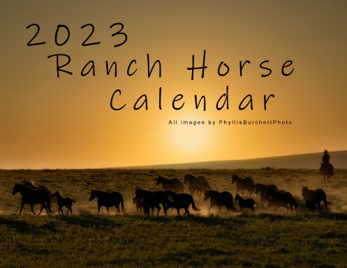 2023 Ranch Horse Calendar
