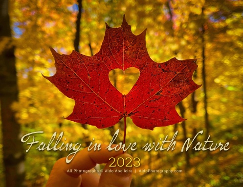 Falling in Love with Nature (2023 Calendar)