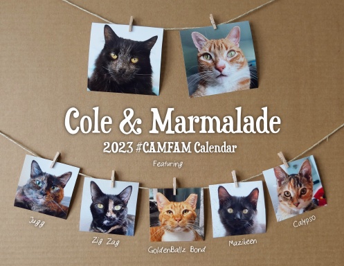 Cole and Marmalade 2023 Calendar #CAMFAM (USA Edition)