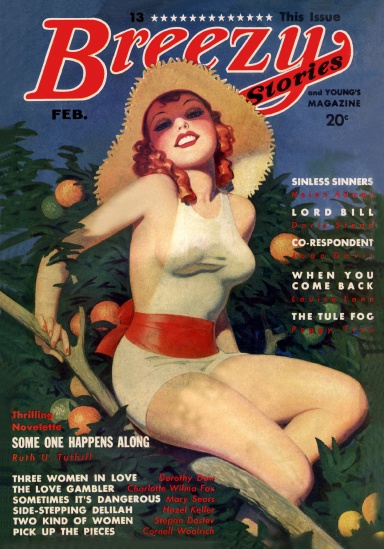 Breezy Stories, February 1936
