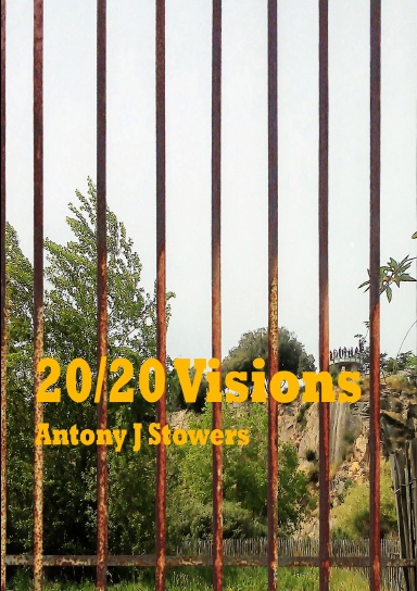 20/20 Visions