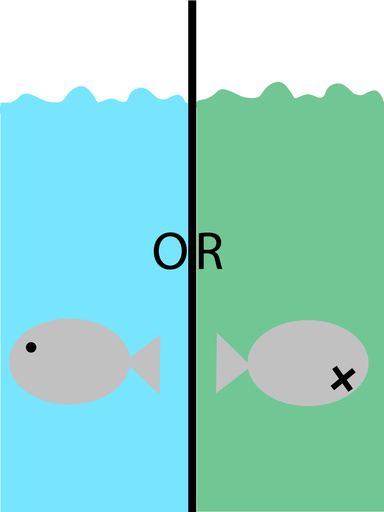 World of Choices
