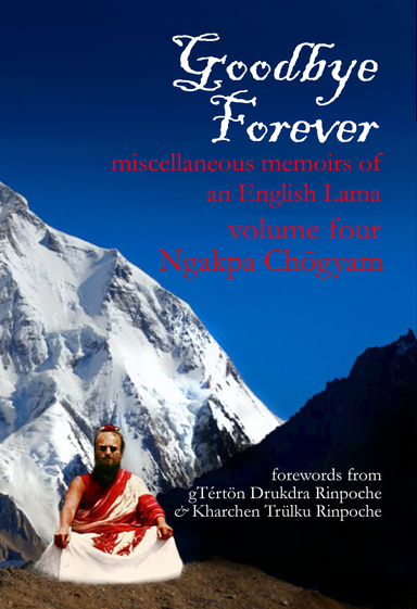 Goodbye Forever, Volume Four