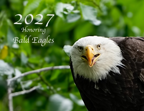 2027 Calendar Bald Eagle