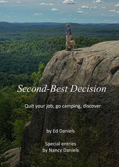 Second-Best Decision