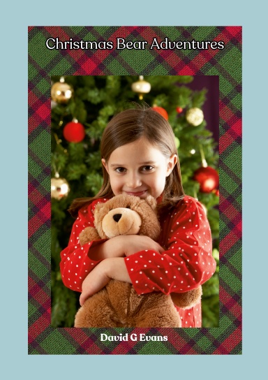 Christmas Bear Adventures