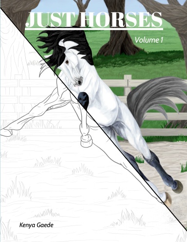 Just Horses, Volume 1