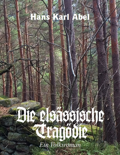 Die elsässische Tragödie, ein Volksroman