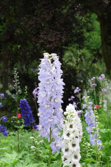 Garden Beauty Journal