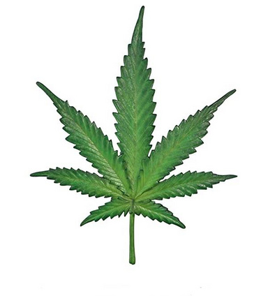 Valentine's Guide to Cannabis Cultivation