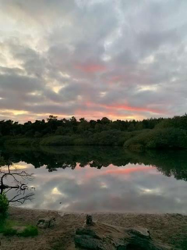 Soul Nature