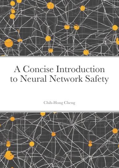 A Concise Introduction to Neural Network Safety