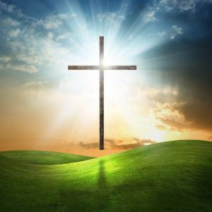 THE KING JAMES HOLY BIBLE UNDERGROUND VERSION