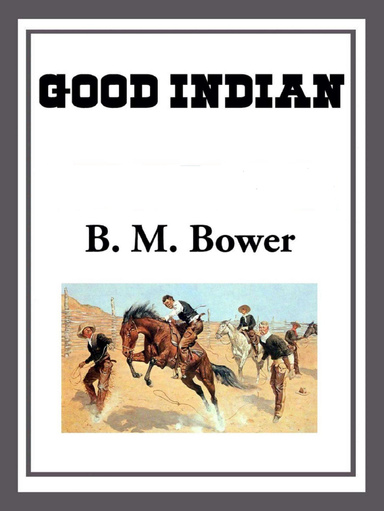 The Good Indian Illustrated