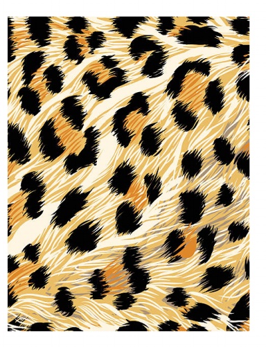 Siri Falls by Yasmine Julia Herve