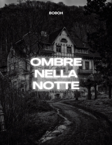 Ombre nella notte