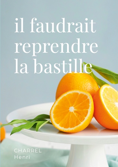 il faudrait reprendre la bastille